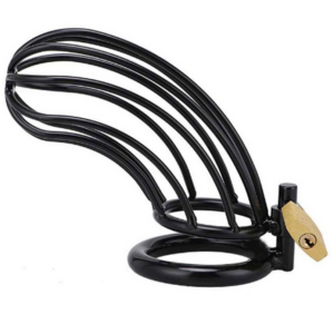 Cage de Chasteté pour Homme Metal Hard